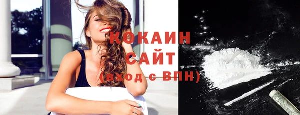 винт Каменка