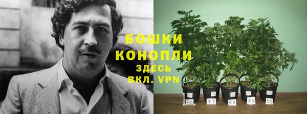 мет Великий Новгород