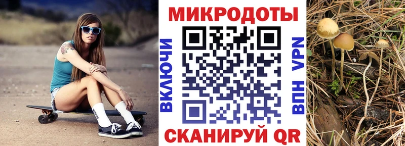 Псилоцибиновые грибы прущие грибы  Мичуринск 