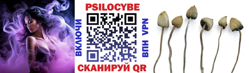 Псилоцибиновые грибы прущие грибы Мичуринск