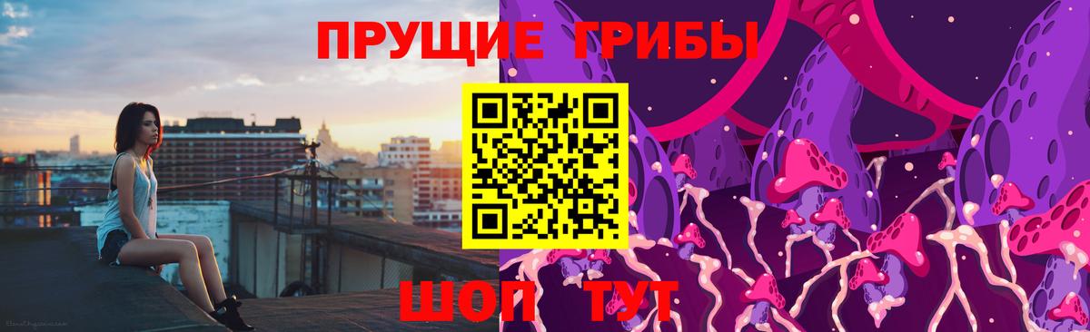 Мичуринск  Псилоцибиновые грибы Psilocybe  Вход с VPN 