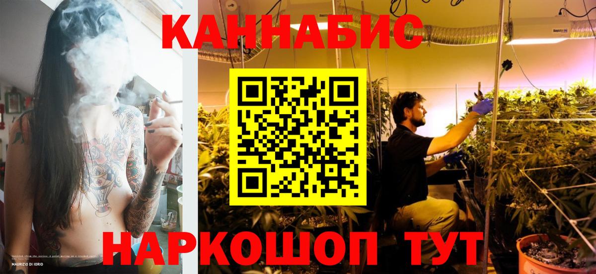 МАРИХУАНА семена Мичуринск